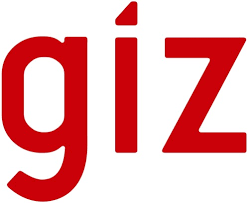 giz partenaire